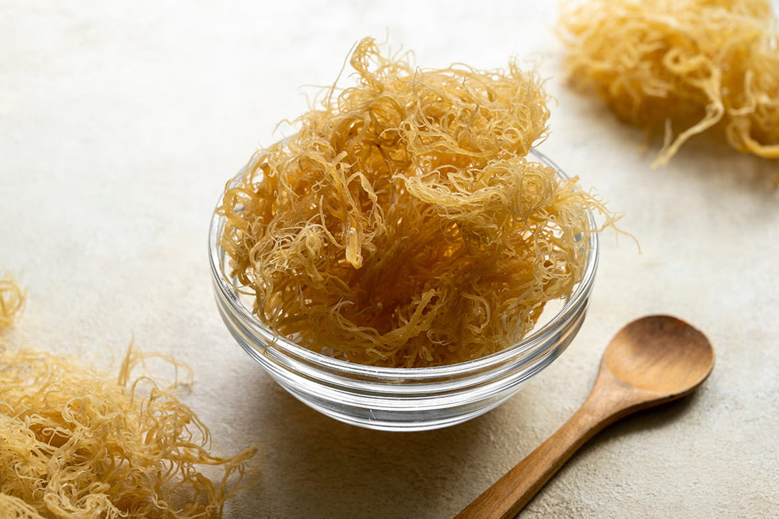 Health Benefits of Sea Moss: A Comprehensive Guide